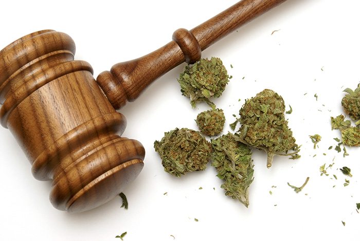 How to Become a Cannabis Attorney