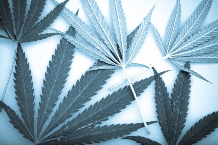 New Rules for Washington Cannabis Excise Tax Payment