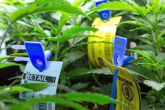Mind The Gap: Washington’s Old Traceability Software Is Out, But Its Replacement Isn’t Live Until January 2018