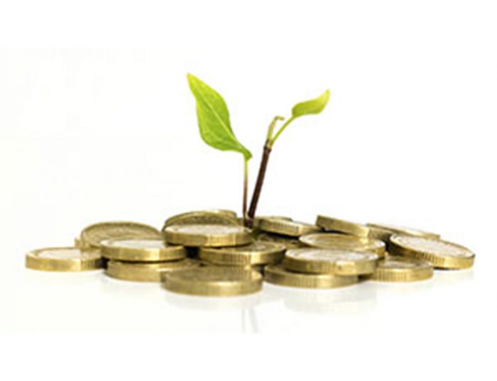 How to Get a Recreational Marijuana Business License in Oregon