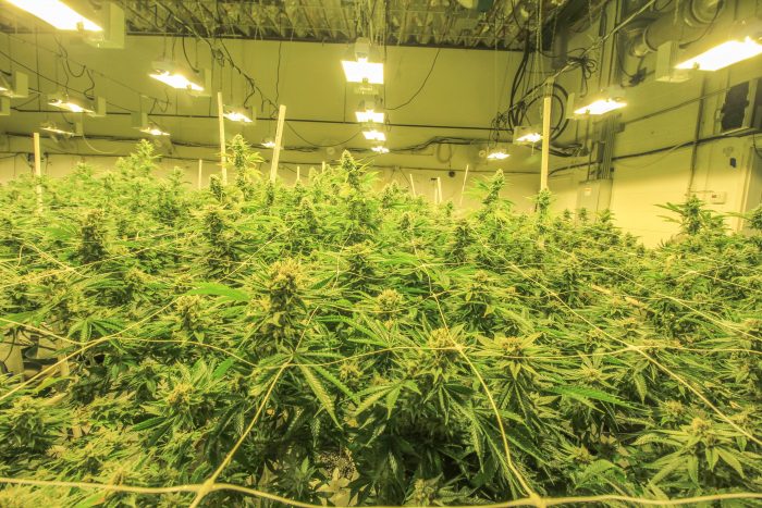 How to Get an Oregon Producer License