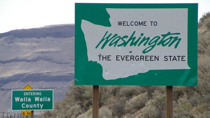 WA State Cannabis Tax Revenue – What You Need To Know