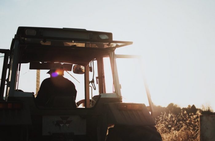 Is Hemp Legal in 2019? Yes, at the Federal Level.
