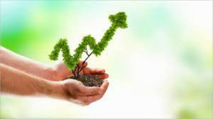 Cannabis Industry Jobs Double in 2020