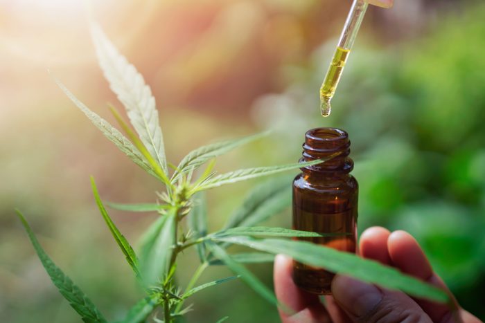 Are the New FDA Warning Letters Signaling Treatment of Hemp Extracts as Over the Counter Monographs?