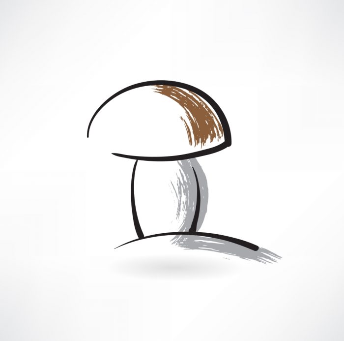 Five Things to Know Now About Oregon’s Psilocybin Therapy Program