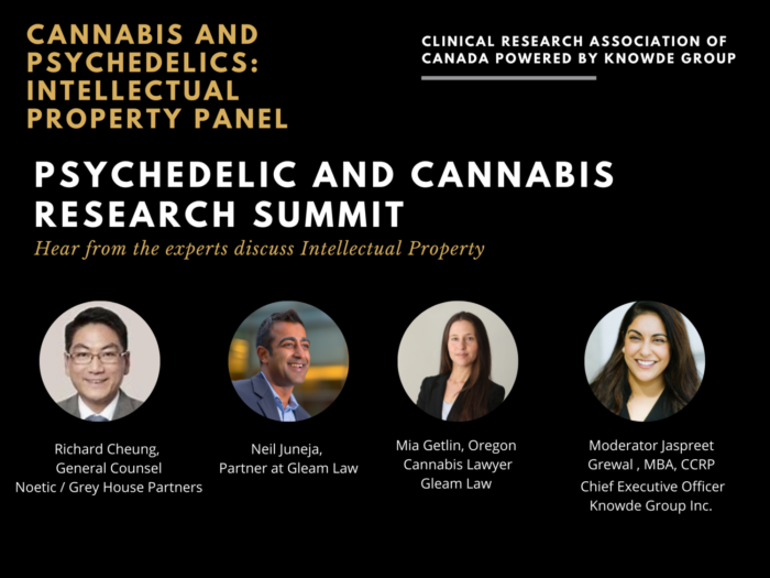 Psychedelic and Cannabis Research Summit: Intellectual Property Panel