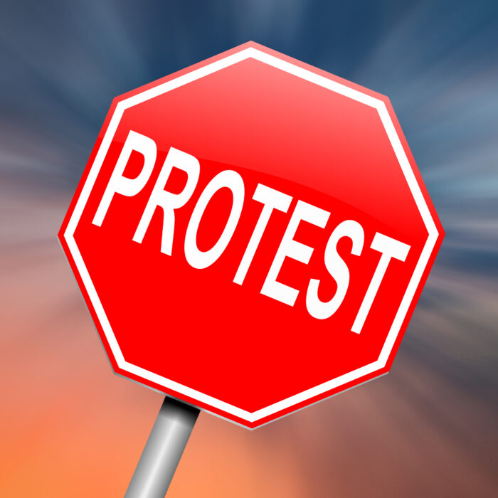 Letter of Protest in the Trademark Modernization Act