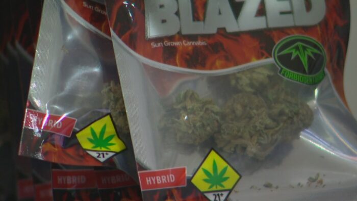 King 5 interviews Neil Juneja on Cannabis Rescheduling