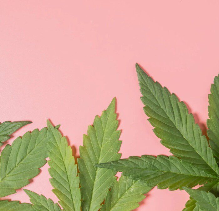 Trademark protection for cannabis brands